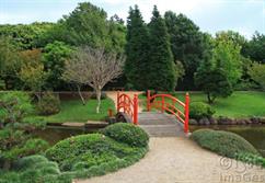 Japanese Gardens Toowoomba-1